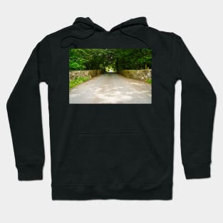 Rural Countryside Road & Trees - Rural Scenery - Ceredigion, Wales Hoodie